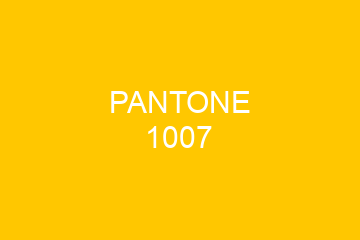 Peinture Pantone 1007