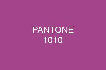 Peinture Pantone 1010