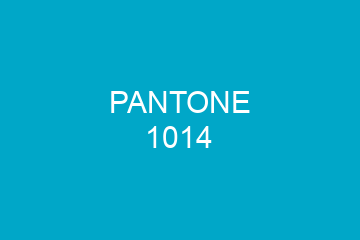 Peinture Pantone 1014