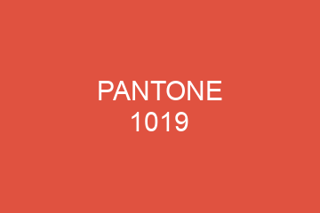 Peinture Pantone 1019