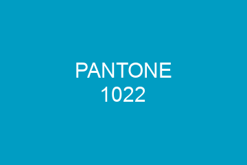 Peinture Pantone 1022