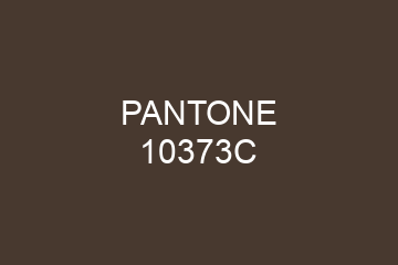 Peinture Pantone 10373C