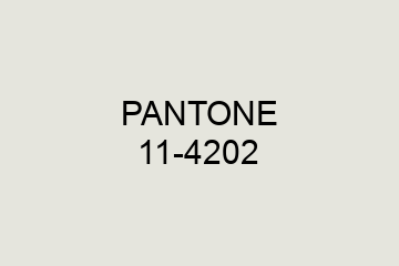 Peinture Pantone 11-4202