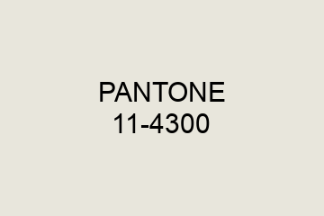 Peinture Pantone 11-4300