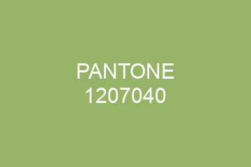 Peinture Pantone 1207040