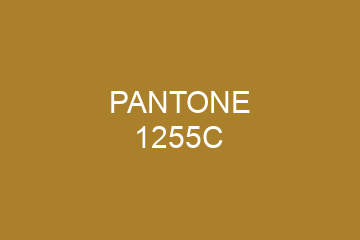 Peinture Pantone 1255C