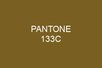 Peinture Pantone 133C