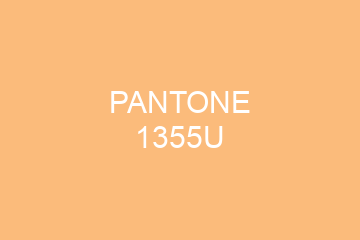 Peinture Pantone 1355U