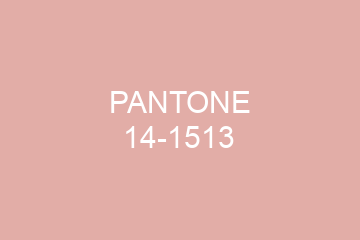 Peinture Pantone 14-1513