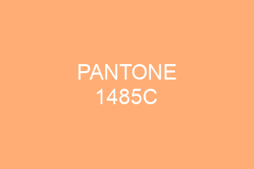 Peinture Pantone 1485C