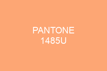 Peinture Pantone 1485U