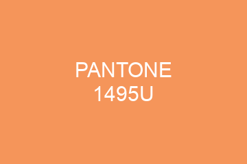 Peinture Pantone 1495U