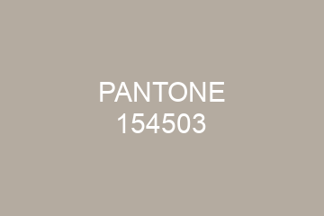 Peinture Pantone 154503