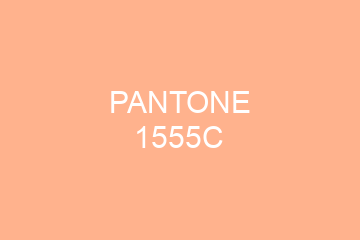 Peinture Pantone 1555C