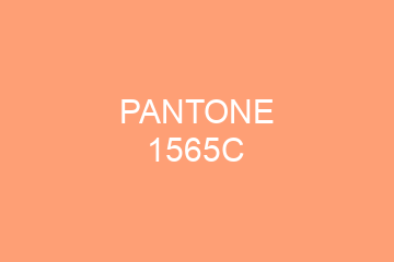 Peinture Pantone 1565C