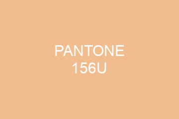 Peinture Pantone 156U