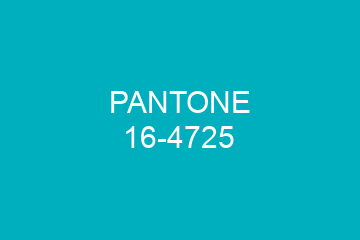 Peinture Pantone 16-4725