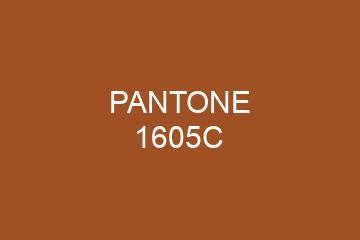 Peinture Pantone 1605C