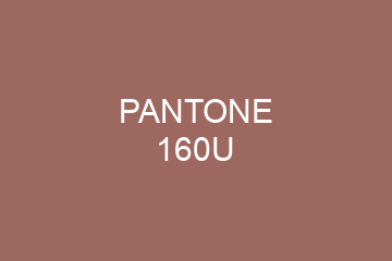 Peinture Pantone 160U