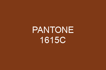 Peinture Pantone 1615C