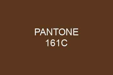 Peinture Pantone 161C