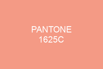 Peinture Pantone 1625C