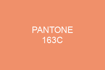 Peinture Pantone 163C