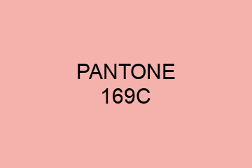 Peinture Pantone 169C