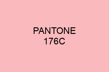 Peinture Pantone 176C