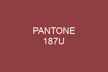 Peinture Pantone 187U