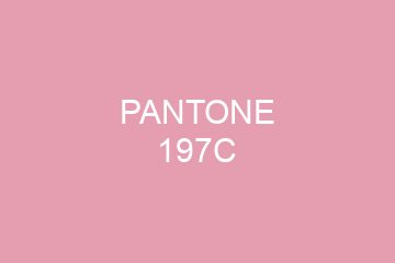 Peinture Pantone 197C