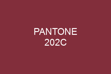 Peinture Pantone 202C