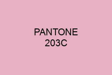 Peinture Pantone 203C