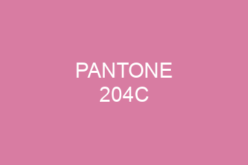 Peinture Pantone 204C