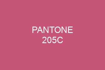 Peinture Pantone 205C