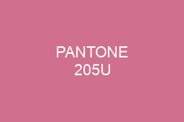 Peinture Pantone 205U