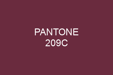 Peinture Pantone 209C