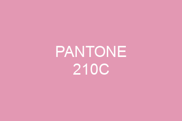 Peinture Pantone 210C