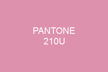 Peinture Pantone 210U