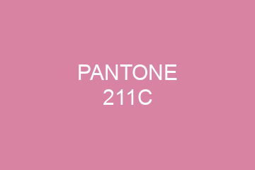 Peinture Pantone 211C