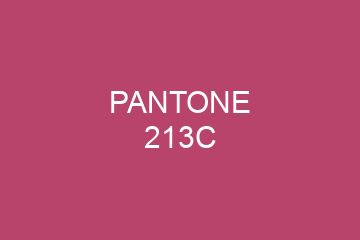 Peinture Pantone 213C