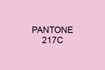 Peinture Pantone 217C