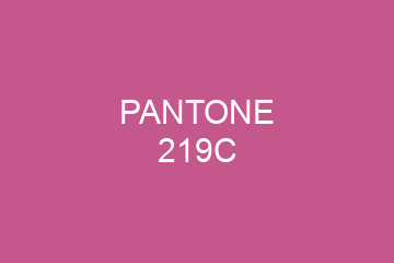 Peinture Pantone 219C