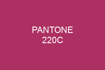 Peinture Pantone 220C