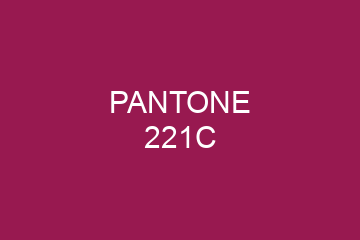 Peinture Pantone 221C