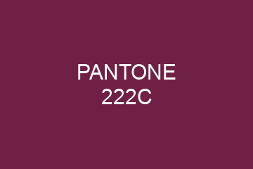 Peinture Pantone 222C