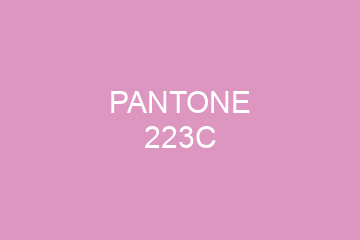 Peinture Pantone 223C