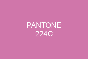 Peinture Pantone 224C