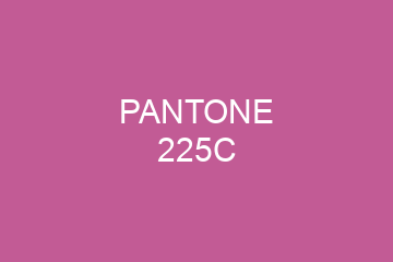 Peinture Pantone 225C