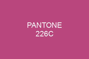 Peinture Pantone 226C